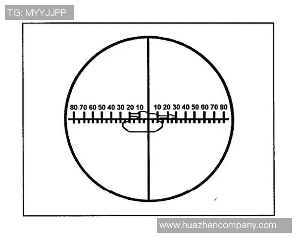 成都篮球队精英赛战术分析与表现评估全景解读